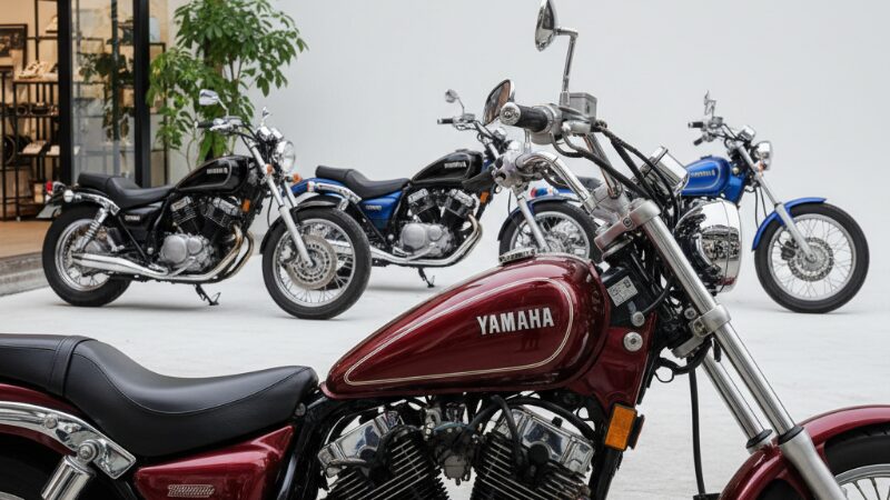 後悔しないビラーゴ250中古の注意点
