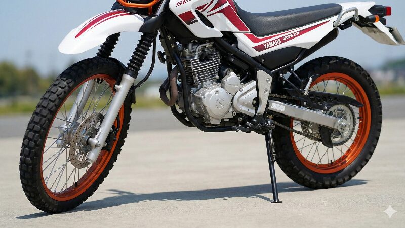 ショートサイドスタンドを使って安定して駐車しているセロー250の足元