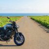 三浦半島の広大な大根畑の中を走る一本の農道と、そこに佇むバイク
