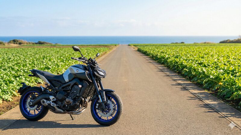 三浦半島の広大な大根畑の中を走る一本の農道と、そこに佇むバイク