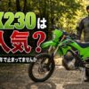 林道に停まるカワサキKLX230と男性ライダー